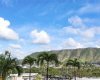 229 PAOAKALANI Avenue,Honolulu,Hawaii,96815,1 Bedroom Bedrooms,1 BathroomBathrooms,Condo/Townhouse,PAOAKALANI,6,19230233