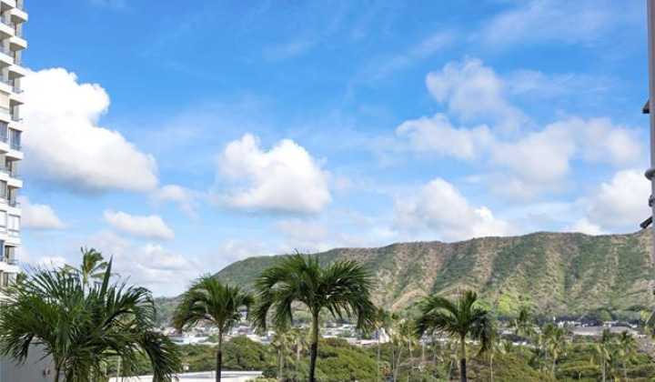 229 PAOAKALANI Avenue,Honolulu,Hawaii,96815,1 Bedroom Bedrooms,1 BathroomBathrooms,Condo/Townhouse,PAOAKALANI,6,19230233