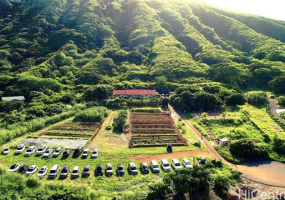 587 Pakala Street,Honolulu,Hawaii,96825,5 ベッドルーム ベッドルーム,3 バスルームバスルーム,一戸建て,Pakala,18085776