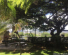 300 Wai Nani Way,Honolulu,Hawaii,96815,1 BathroomBathrooms,Condo/Townhouse,Wai Nani,9,18087274