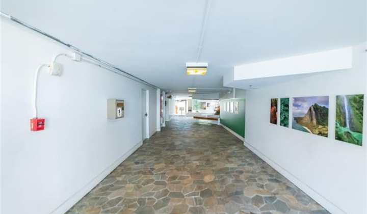 2463 Kuhio Avenue,Honolulu,Hawaii,96815,1 BathroomBathrooms,Condo/Townhouse,Kuhio,11,18087594