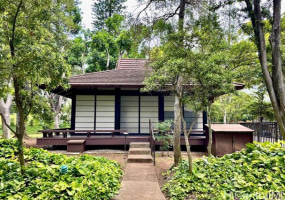 1515 Nuuanu Avenue,Honolulu,Hawaii,96817,2 ベッドルーム ベッドルーム,1 バスルームバスルーム,コンド / タウンハウス,Nuuanu,20,18100646