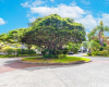 5333 Likini Street,Honolulu,Hawaii,96818,2 ベッドルーム ベッドルーム,1 バスルームバスルーム,コンド / タウンハウス,Likini,11,19278761