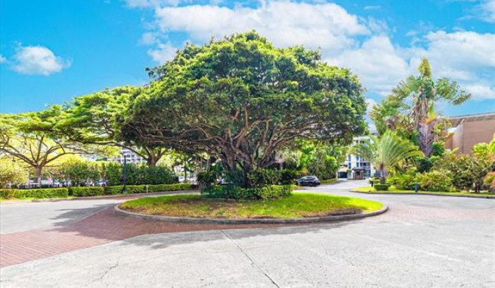 5333 Likini Street,Honolulu,Hawaii,96818,2 ベッドルーム ベッドルーム,1 バスルームバスルーム,コンド / タウンハウス,Likini,11,19278761