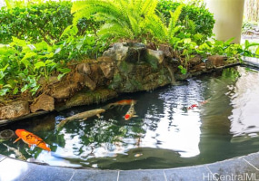 930 Kaheka Street,Honolulu,Hawaii,96814,1 Bedroom Bedrooms,1 BathroomBathrooms,Condo/Townhouse,Kaheka,18,18117817