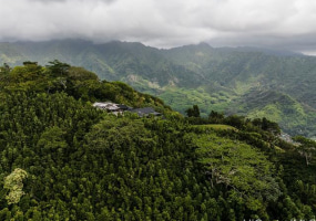 4005 Round Top Drive,Honolulu,Hawaii,96822,7 Bedrooms Bedrooms,5 BathroomsBathrooms,Single family,Round Top,18573346