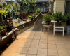 2308 Owene Lane,Honolulu,Hawaii,96819,5 ベッドルーム ベッドルーム,2 バスルームバスルーム,一戸建て,Owene,18125669