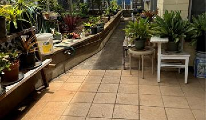 2308 Owene Lane,Honolulu,Hawaii,96819,5 ベッドルーム ベッドルーム,2 バスルームバスルーム,一戸建て,Owene,18125669