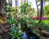 300 Wai Nani Way,Honolulu,Hawaii,96815,1 Bedroom Bedrooms,1 BathroomBathrooms,Condo/Townhouse,Wai Nani,4,18127065