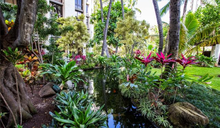 300 Wai Nani Way,Honolulu,Hawaii,96815,1 Bedroom Bedrooms,1 BathroomBathrooms,Condo/Townhouse,Wai Nani,4,18127065