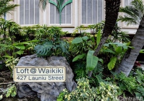 427 Launiu Street,Honolulu,Hawaii,96815,2 Bedrooms Bedrooms,2 BathroomsBathrooms,Condo/Townhouse,Launiu,6,17734131