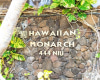 444 Niu Street,Honolulu,Hawaii,96815,1 バスルームバスルーム,コンド / タウンハウス,Niu,21,18131867