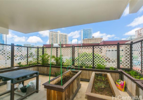 1624 Kanunu Street,Honolulu,Hawaii,96814,3 ベッドルーム ベッドルーム,2 バスルームバスルーム,コンド / タウンハウス,Kanunu,12,18134084