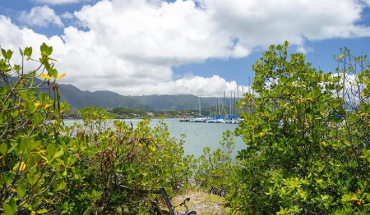 44-519 Kaneohe Bay Drive,Kaneohe,Hawaii,96744,6 Bedrooms Bedrooms,6 BathroomsBathrooms,Single family,Kaneohe Bay,18136982