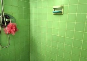 445 Kaiolu Street,Honolulu,Hawaii,96815,1 ベッドルーム ベッドルーム,1 バスルームバスルーム,コンド / タウンハウス,Kaiolu,9,18588471