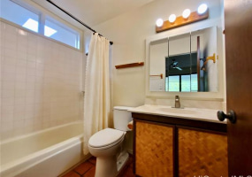 47-164 Pulu Place,Kaneohe,Hawaii,96744,4 ベッドルーム ベッドルーム,3 バスルームバスルーム,一戸建て,Pulu,18142671