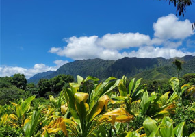 47-164 Pulu Place,Kaneohe,Hawaii,96744,4 ベッドルーム ベッドルーム,3 バスルームバスルーム,一戸建て,Pulu,18142671