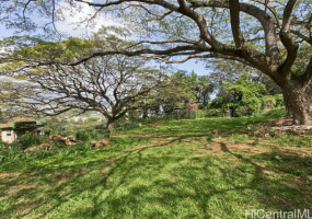 45-234 Kokokahi Place,Kaneohe,Hawaii,96744,一戸建て,Kokokahi,18610047