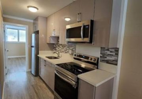 425 Ena Road,Honolulu,Hawaii,96815,1 ベッドルーム ベッドルーム,1 バスルームバスルーム,コンド / タウンハウス,Ena,1,18151406