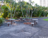 1519 Nuuanu Avenue,Honolulu,Hawaii,96817,1 Bedroom Bedrooms,1 BathroomBathrooms,Condo/Townhouse,Nuuanu,17,18151675