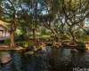 1519 Nuuanu Avenue,Honolulu,Hawaii,96817,1 Bedroom Bedrooms,1 BathroomBathrooms,Condo/Townhouse,Nuuanu,17,18151675