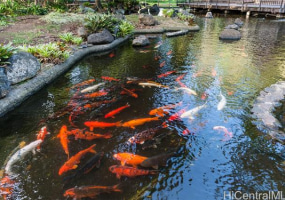1519 Nuuanu Avenue,Honolulu,Hawaii,96817,1 Bedroom Bedrooms,1 BathroomBathrooms,Condo/Townhouse,Nuuanu,17,18151675