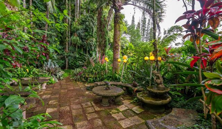 156 Forest Ridge Way,Honolulu,Hawaii,96822,4 ベッドルーム ベッドルーム,3 バスルームバスルーム,一戸建て,Forest Ridge,19327012