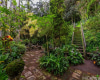 156 Forest Ridge Way,Honolulu,Hawaii,96822,4 ベッドルーム ベッドルーム,3 バスルームバスルーム,一戸建て,Forest Ridge,19327012