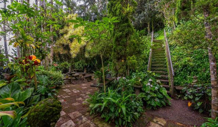 156 Forest Ridge Way,Honolulu,Hawaii,96822,4 ベッドルーム ベッドルーム,3 バスルームバスルーム,一戸建て,Forest Ridge,19327012