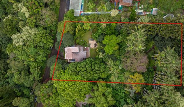 156 Forest Ridge Way,Honolulu,Hawaii,96822,4 ベッドルーム ベッドルーム,3 バスルームバスルーム,一戸建て,Forest Ridge,19327012