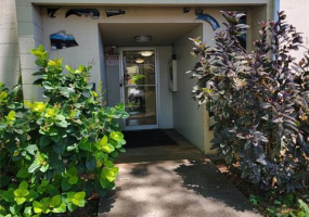 1415 Punahou Street,Honolulu,Hawaii,96822,2 ベッドルーム ベッドルーム,1 バスルームバスルーム,コンド / タウンハウス,Punahou,8,18154709