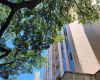 1415 Punahou Street,Honolulu,Hawaii,96822,2 ベッドルーム ベッドルーム,1 バスルームバスルーム,コンド / タウンハウス,Punahou,8,18154709