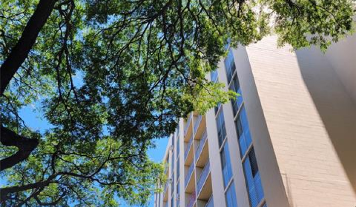 1415 Punahou Street,Honolulu,Hawaii,96822,2 ベッドルーム ベッドルーム,1 バスルームバスルーム,コンド / タウンハウス,Punahou,8,18154709