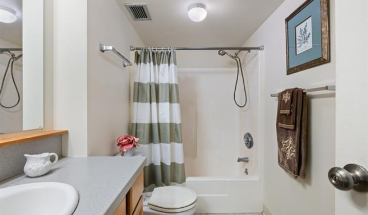 501 Hahaione Street,Honolulu,Hawaii,96825,1 Bedroom Bedrooms,1 BathroomBathrooms,Condo/Townhouse,Hahaione,16,18154714
