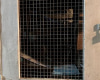 445 Kaiolu Street,Honolulu,Hawaii,96815,2 ベッドルーム ベッドルーム,1 バスルームバスルーム,コンド / タウンハウス,Kaiolu,7,19332632