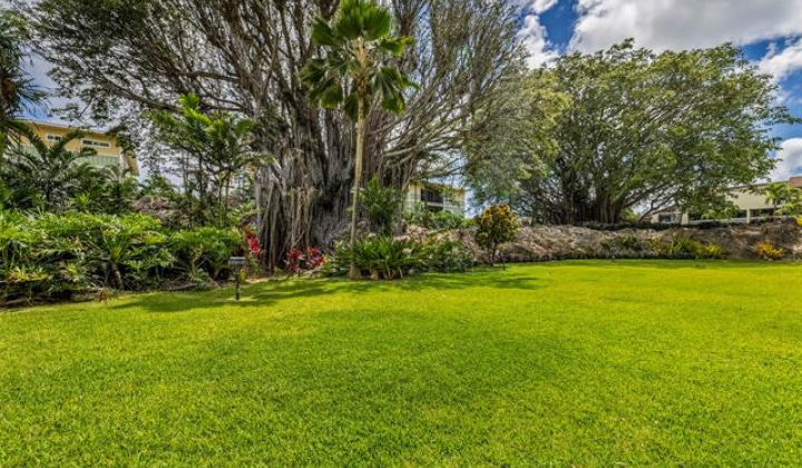 322 Aoloa Street,Kailua,Hawaii,96734,2 ベッドルーム ベッドルーム,2 バスルームバスルーム,コンド / タウンハウス,Aoloa,18,18157000