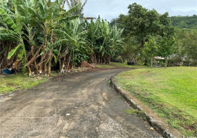 47-688 Lamaula Road,Kaneohe,Hawaii,96744,4 Bedrooms Bedrooms,2 BathroomsBathrooms,Single family,Lamaula,18157815