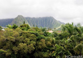 46-259 Kahuhipa Street,Kaneohe,Hawaii,96744,2 ベッドルーム ベッドルーム,1 バスルームバスルーム,コンド / タウンハウス,Kahuhipa,3,18157871