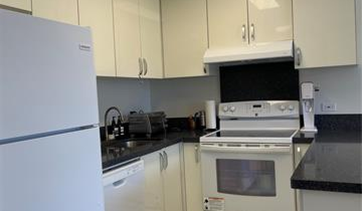 411 Hobron Lane,Honolulu,Hawaii,96815,1 Bedroom Bedrooms,1 BathroomBathrooms,Condo/Townhouse,Hobron,8,18158831