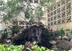 469 Ena Road,Honolulu,Hawaii,96815,3 ベッドルーム ベッドルーム,3 バスルームバスルーム,コンド / タウンハウス,Ena,10,18159335