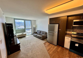 988 Halekauwila Street,Honolulu,Hawaii,96814,2 ベッドルーム ベッドルーム,2 バスルームバスルーム,コンド / タウンハウス,Halekauwila,16,18160432
