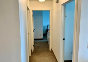 988 Halekauwila Street,Honolulu,Hawaii,96814,2 ベッドルーム ベッドルーム,2 バスルームバスルーム,コンド / タウンハウス,Halekauwila,16,18160432