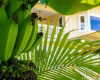 44-129 Kalenakai Place,Kaneohe,Hawaii,96744,4 Bedrooms Bedrooms,2 BathroomsBathrooms,Single family,Kalenakai,18173320