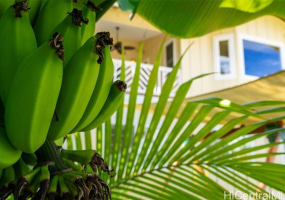 44-129 Kalenakai Place,Kaneohe,Hawaii,96744,4 Bedrooms Bedrooms,2 BathroomsBathrooms,Single family,Kalenakai,18173320