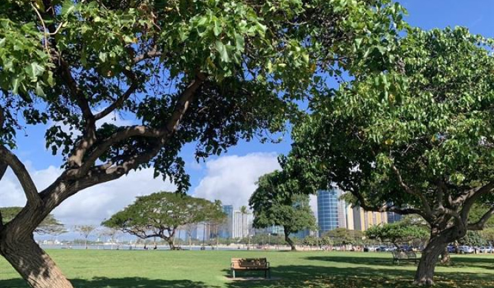 410 Atkinson Drive,Honolulu,Hawaii,96814,1 バスルームバスルーム,コンド / タウンハウス,Atkinson,23,19343613