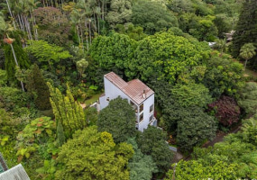 156 Forest Ridge Way,Honolulu,Hawaii,96822,4 Bedrooms Bedrooms,3 BathroomsBathrooms,Single family,Forest Ridge,18632880