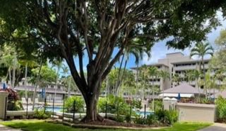 411 Hobron Lane,Honolulu,Hawaii,96815,1 Bedroom Bedrooms,1 BathroomBathrooms,Condo/Townhouse,Hobron,32,17778691