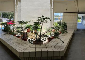2860 Waialae Avenue,Honolulu,Hawaii,96826,1 Bedroom Bedrooms,1 BathroomBathrooms,Condo/Townhouse,Waialae,1,18191209