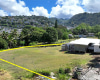 322 Auwaiolimu Street,Honolulu,Hawaii,96813,5 ベッドルーム ベッドルーム,3 バスルームバスルーム,一戸建て,Auwaiolimu,18191352