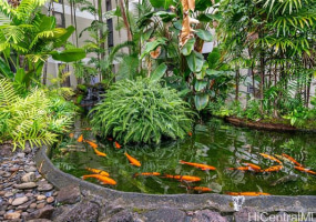 1020 Aoloa Place,Kailua,Hawaii,96734,3 Bedrooms Bedrooms,2 BathroomsBathrooms,Condo/Townhouse,Aoloa,3,18196989